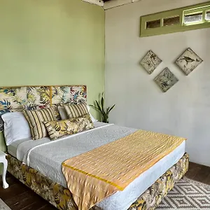 Hostel Mira Mira Colombia